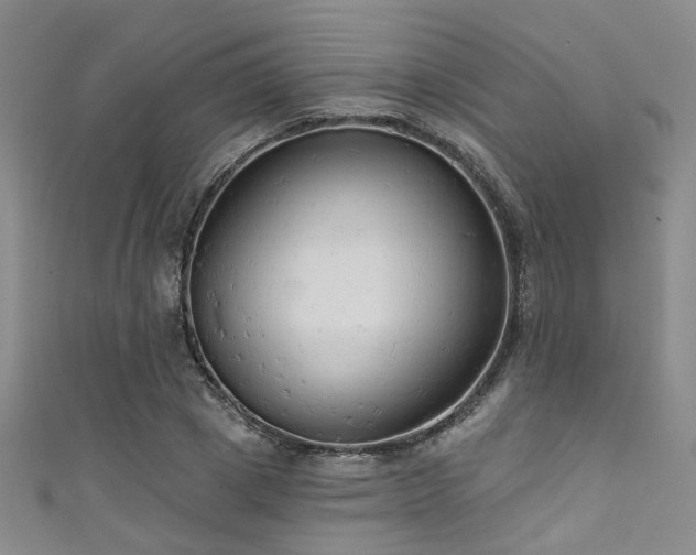 X0000111590833200907161452