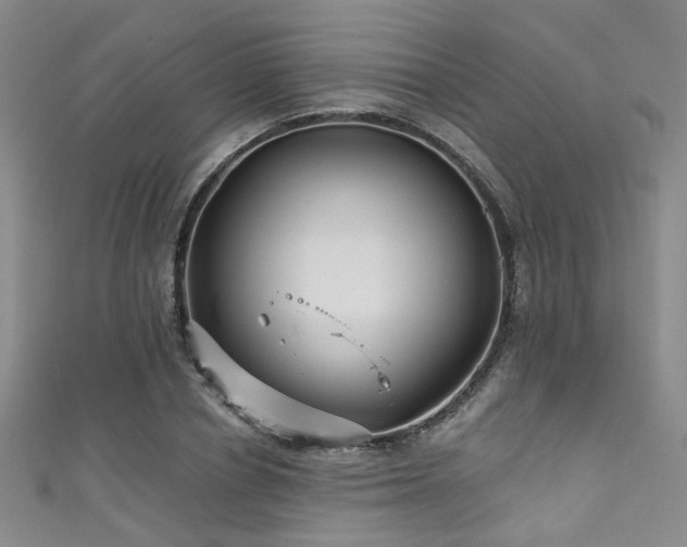 X0000111590834200907161452