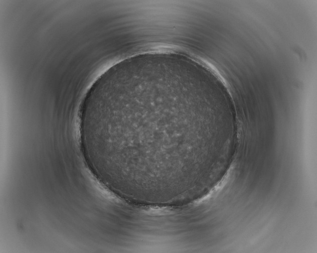 X0000111590835200907161452