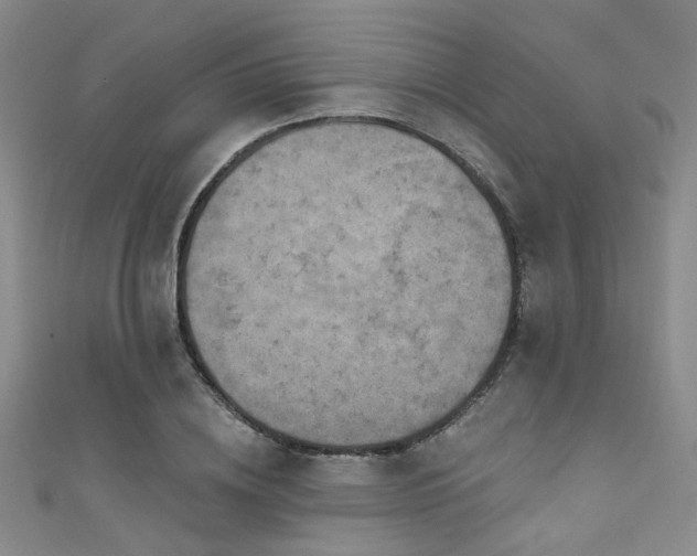 X0000111590836200907161452