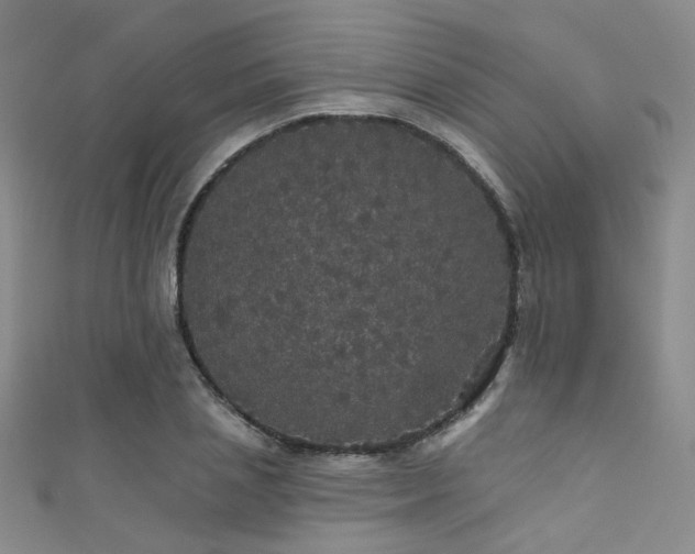 X0000111590837200907161452