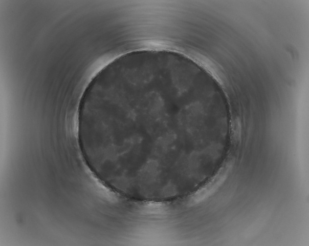 X0000111590839200907161452