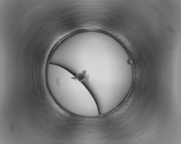 X0000111590840200907161452