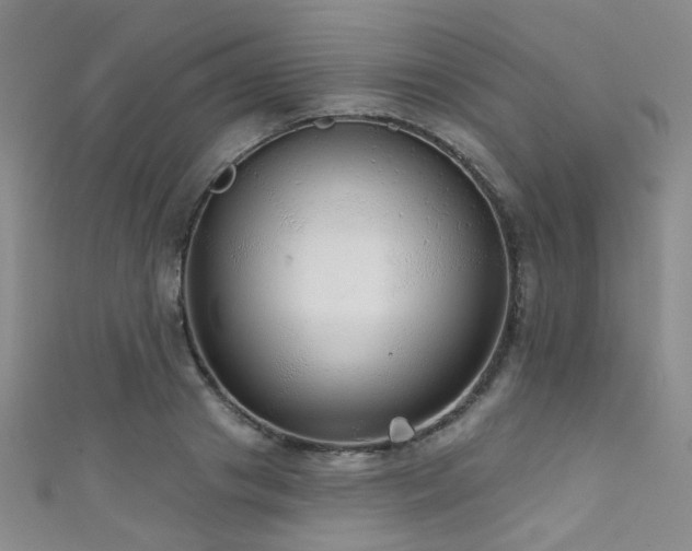 X0000111590841200907161452