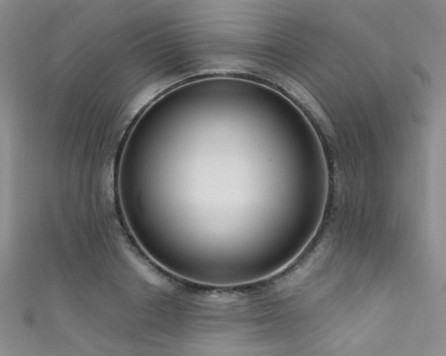 X0000111590842200907161452