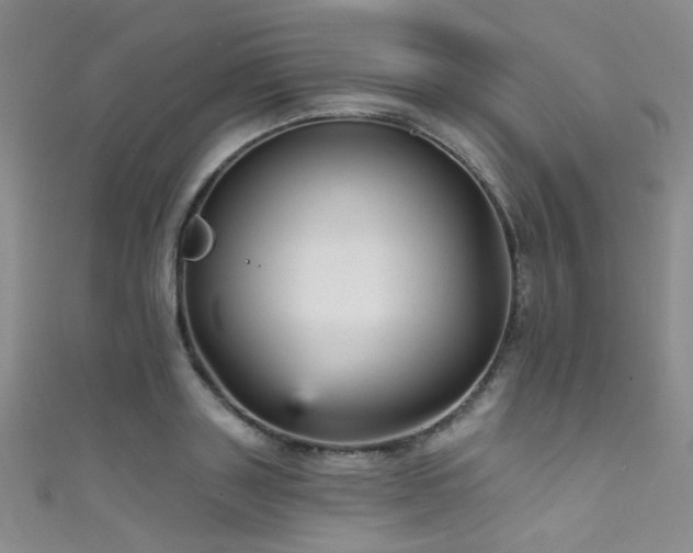 X0000111590843200907161452