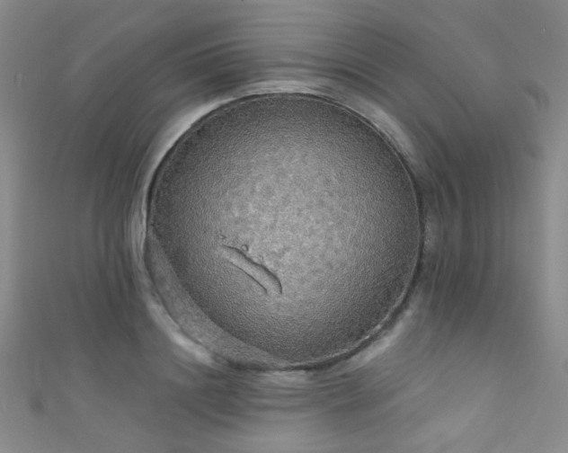 X0000111590844200907161452