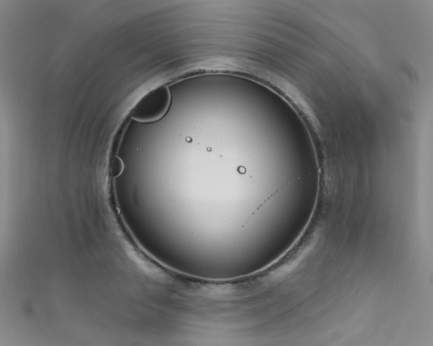 X0000111590845200907161452