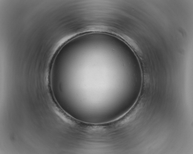 X0000111590846200907161452