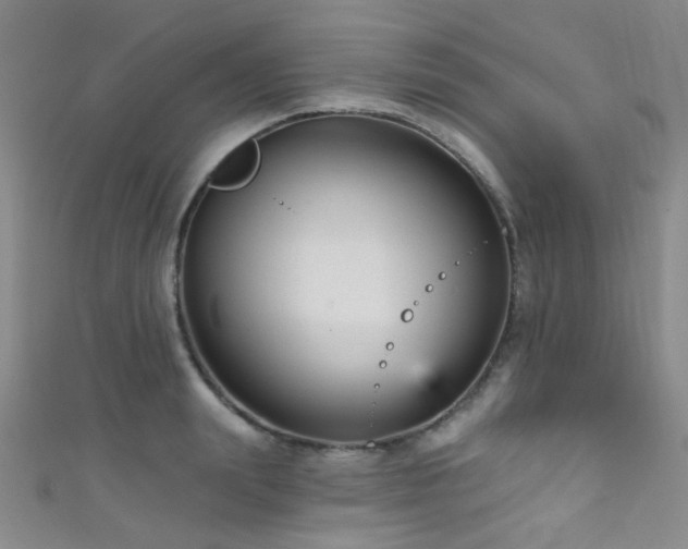 X0000111590847200907161452