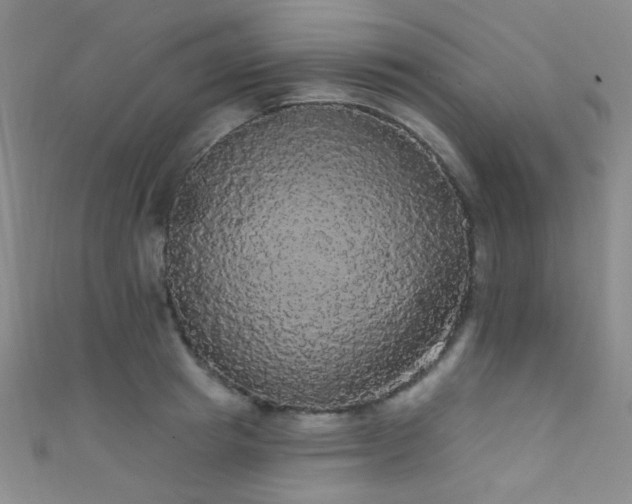 X0000111590849200907161452