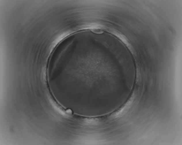 X0000111590850200907161452