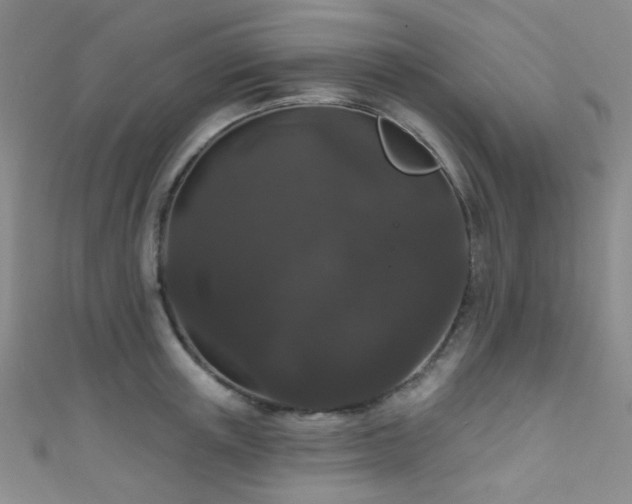 X0000111590851200907161452