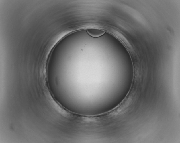 X0000111590852200907161452