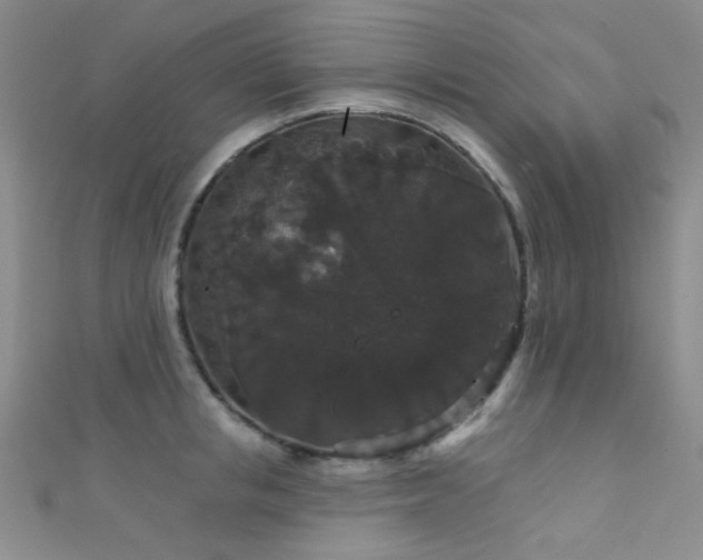 X0000111590853200907161452