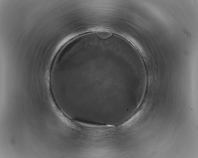 X0000111590854200907161452