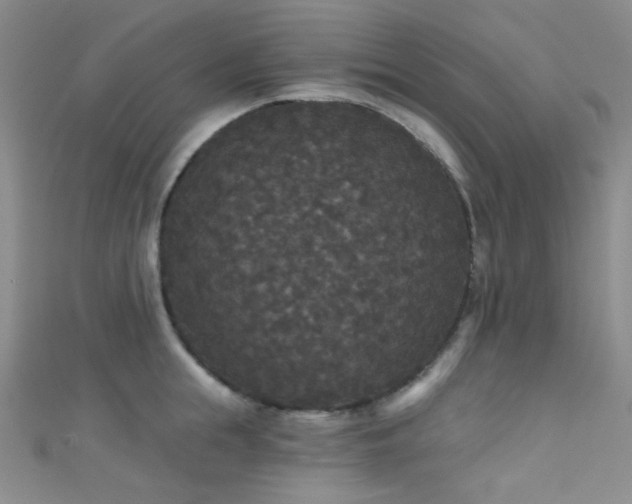 X0000111590855200907161452