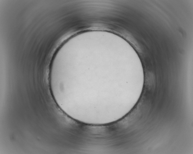 X0000111590856200907161452