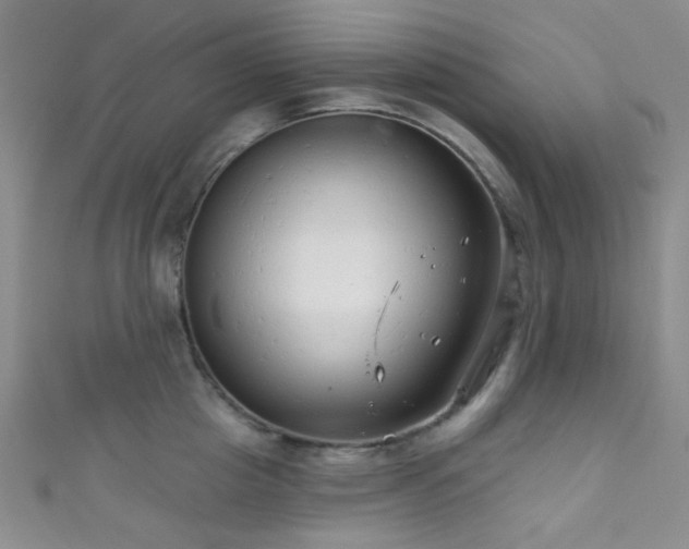 X0000111590857200907161452