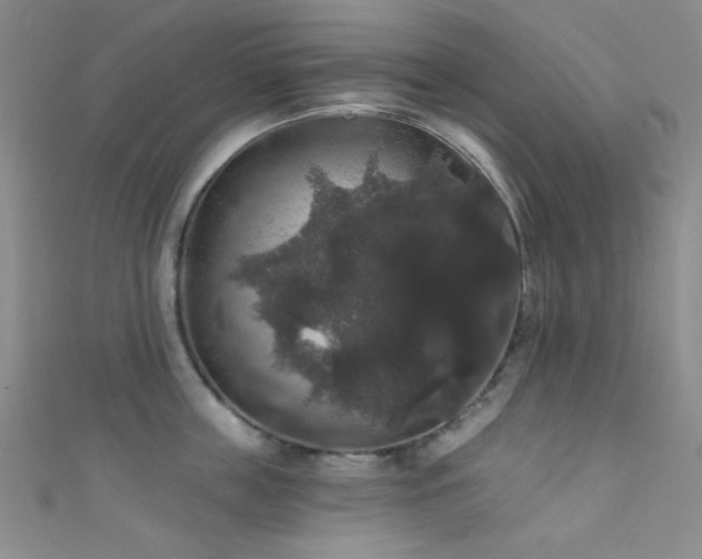 X0000111590859200907161452