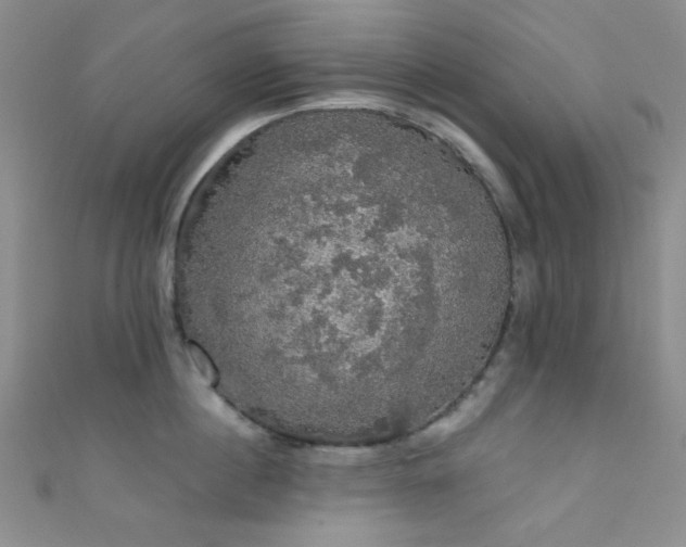 X0000111590860200907161452