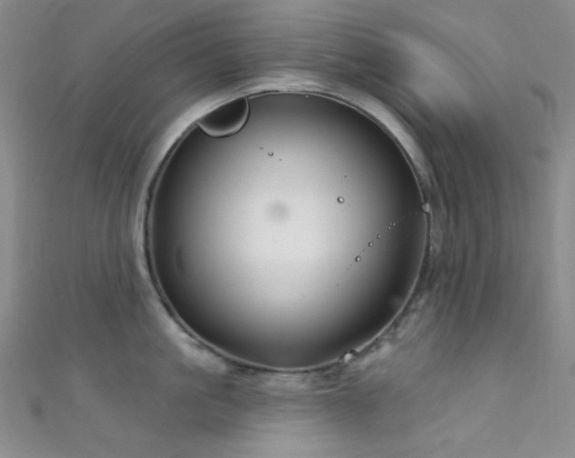 X0000111590861200907161452