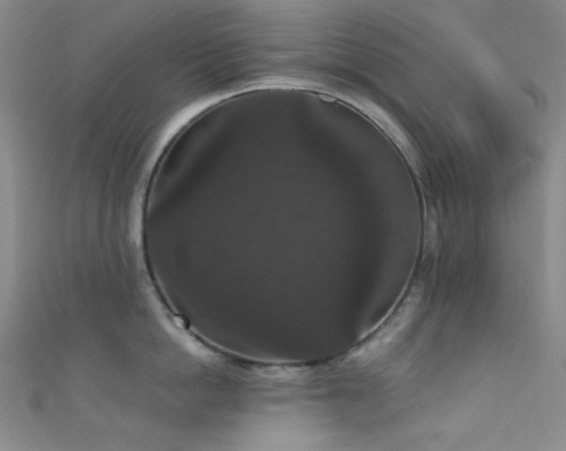 X0000111590862200907161452