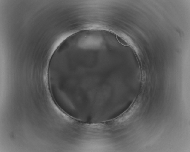 X0000111590863200907161452