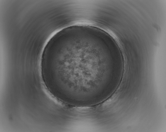 X0000111590864200907161452