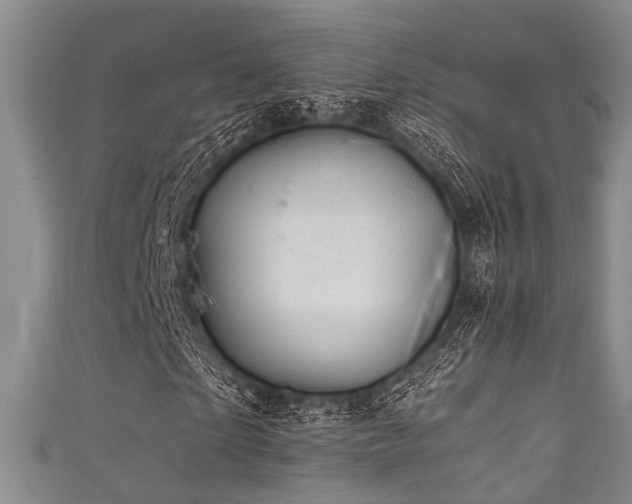 X0000111590865200907161451