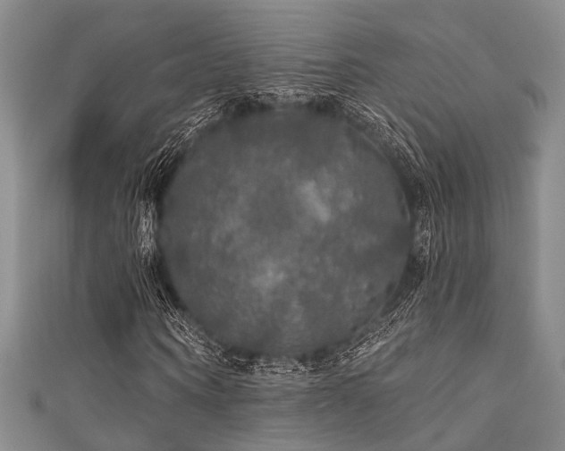 X0000111590866200907161451