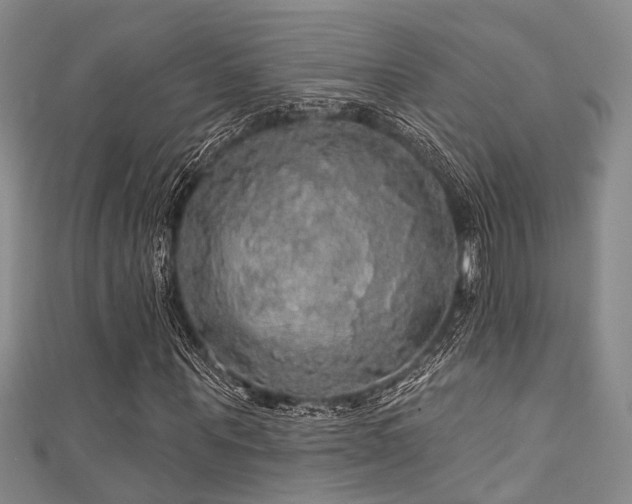 X0000111590867200907161451