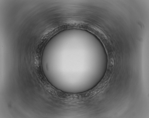 X0000111590869200907161451