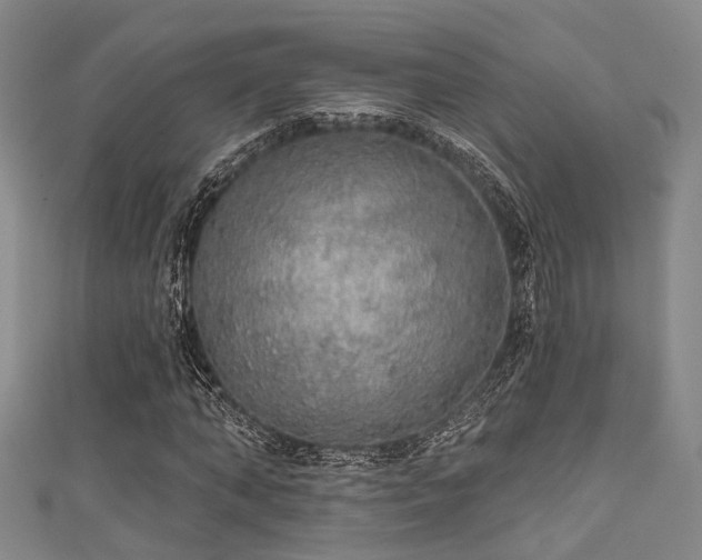 X0000111590870200907161451