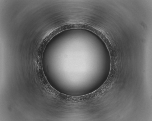 X0000111590871200907161451