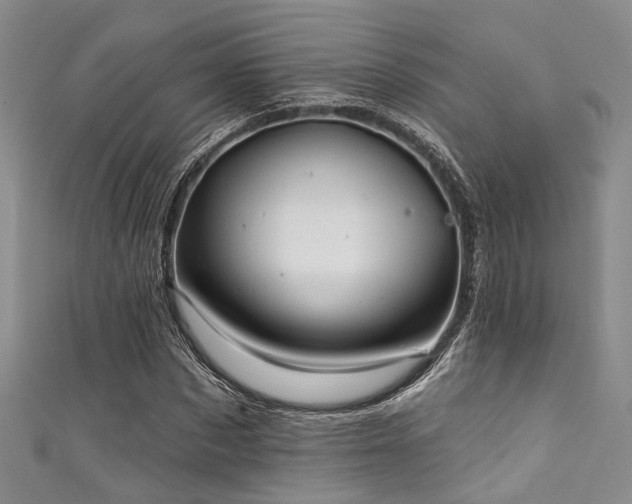 X0000111590873200907161451