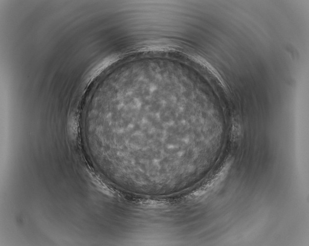 X0000111590874200907161451