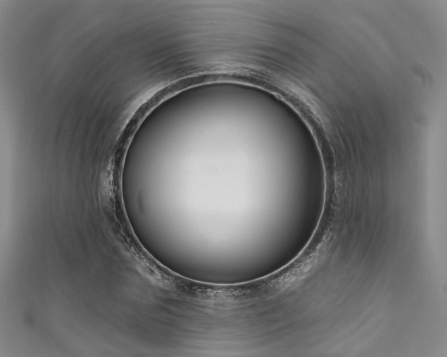 X0000111590875200907161451