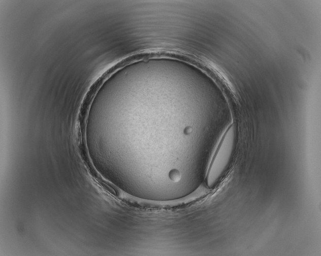 X0000111590876200907161451