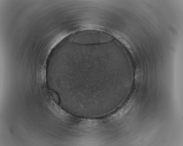 X0000111590877200907161451