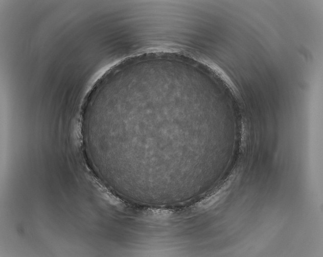 X0000111590878200907161451