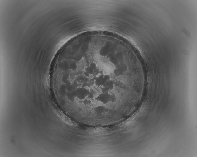 X0000111590879200907161451