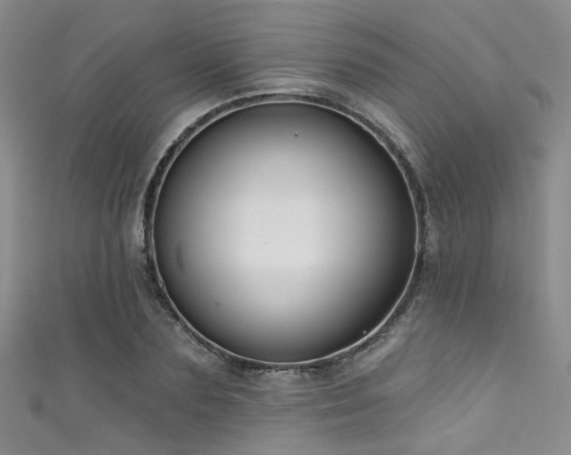 X0000111590883200907161451