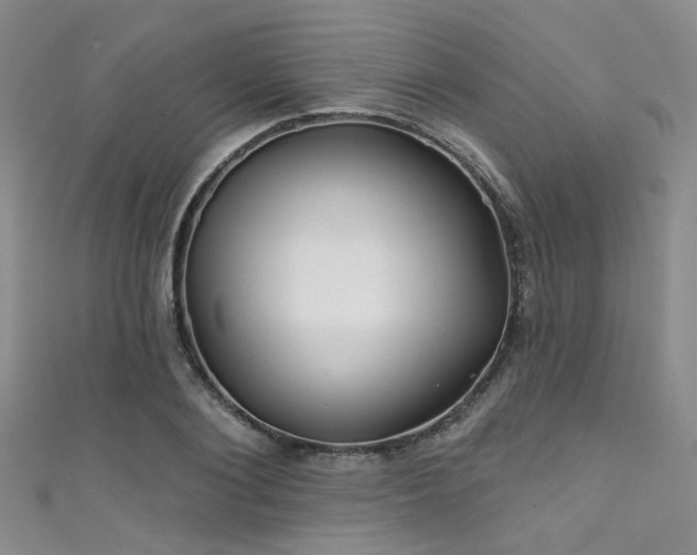 X0000111590884200907161451