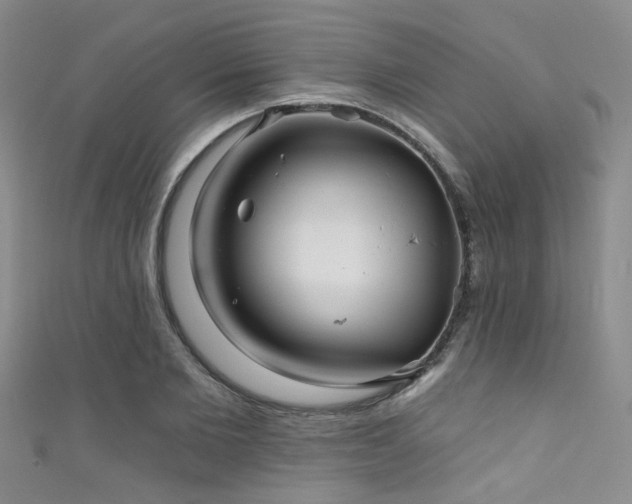 X0000111590885200907161451