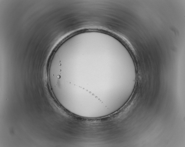 X0000111590887200907161451