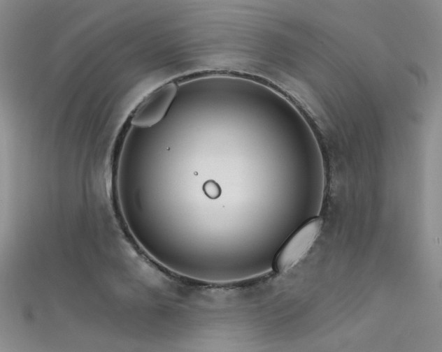 X0000111590888200907161451