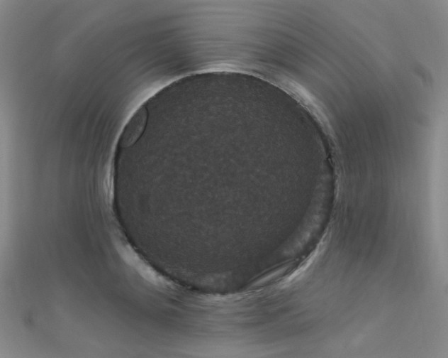 X0000111590892200907161451