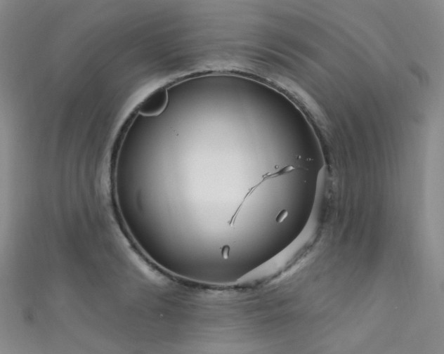 X0000111590894200907161451