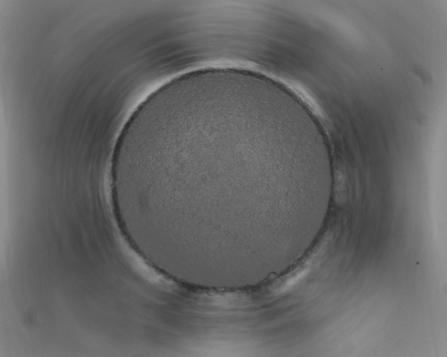 X0000111590895200907161451